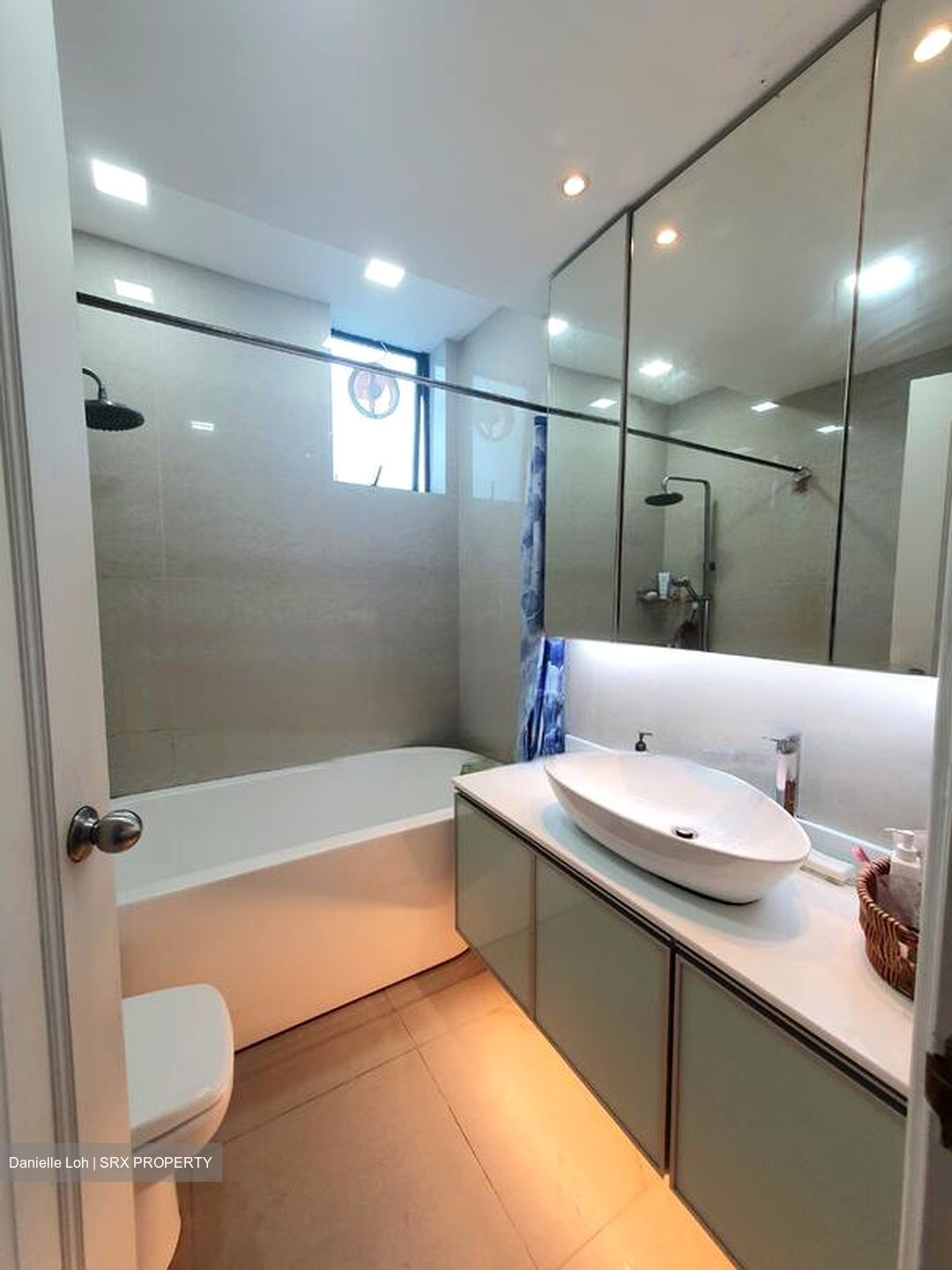 Spring Grove (D10), Condominium #478189141